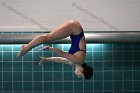 Women's Diving  Wheaton College Women’s Diving vs Mount Holyoke College. - Photo by Keith Nordstrom : Wheaton, Swimming & Diving